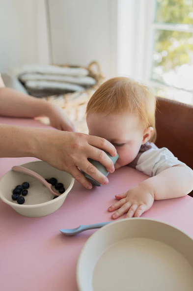 Ensemble de 2 verres avec couvercles sauge - Bibs