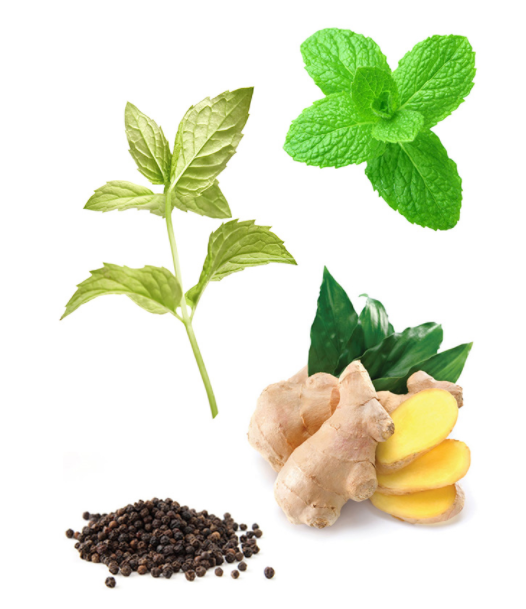 Rouleau prêt à l'emplois Tamer (digestion, reflux) 10ml - dōTERRA